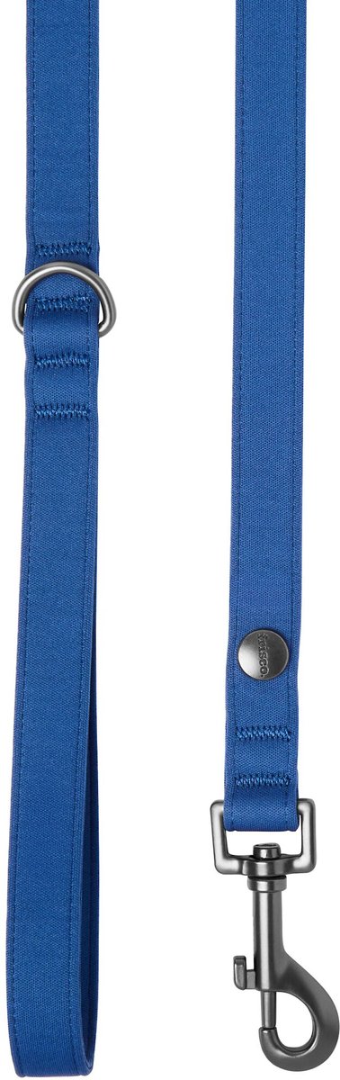 Frisco Comfort Padded Dog Leash