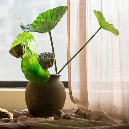 RusticReach Lotus Seed and Leaf Stem in Various Sizes