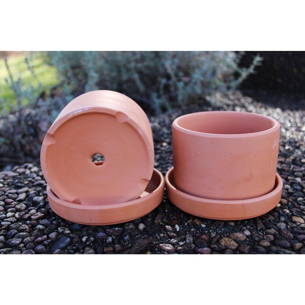 Set of 2 Terracotta Round Fat Walled Garden Planters with Individual Trays  2 SIZES AVILABLE