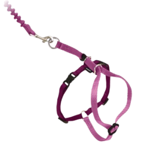 PetSafe Come With Me Kitty Harness and Bungee Cat Leash Dusty Rose