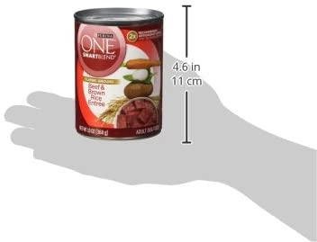 Purina ONE Natural Pate Wet Dog Food， SmartBlend Beef and Brown Rice Entrée - (12) 13 oz. Cans