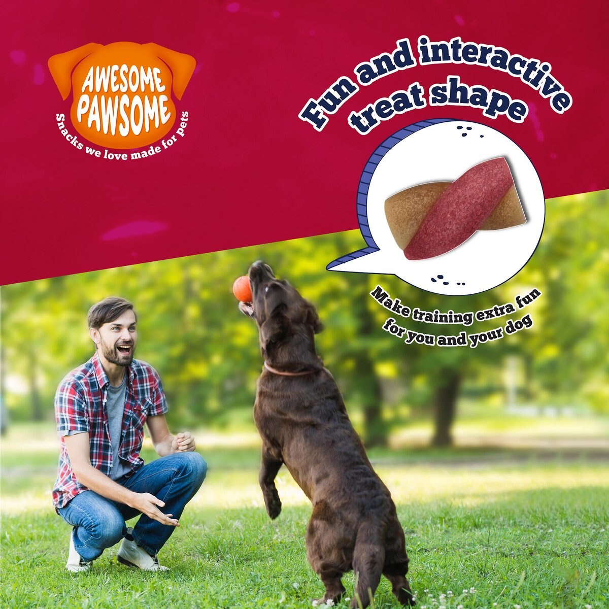 Awesome Pawsome Peanut Butter and Cranberry Dog Treats， 3-oz bag