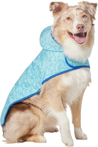 Frisco Doodle Dog Raincoat