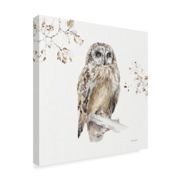 Trademark Fine Art lisa Audit x27 woodland Walk Viii Owl x27 Canvas Art