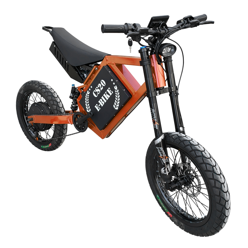 Paige Electric mountain bike motorcycle for engine kit dual battery bicycle dirt adult off road e bike e bicycle cycle ebike