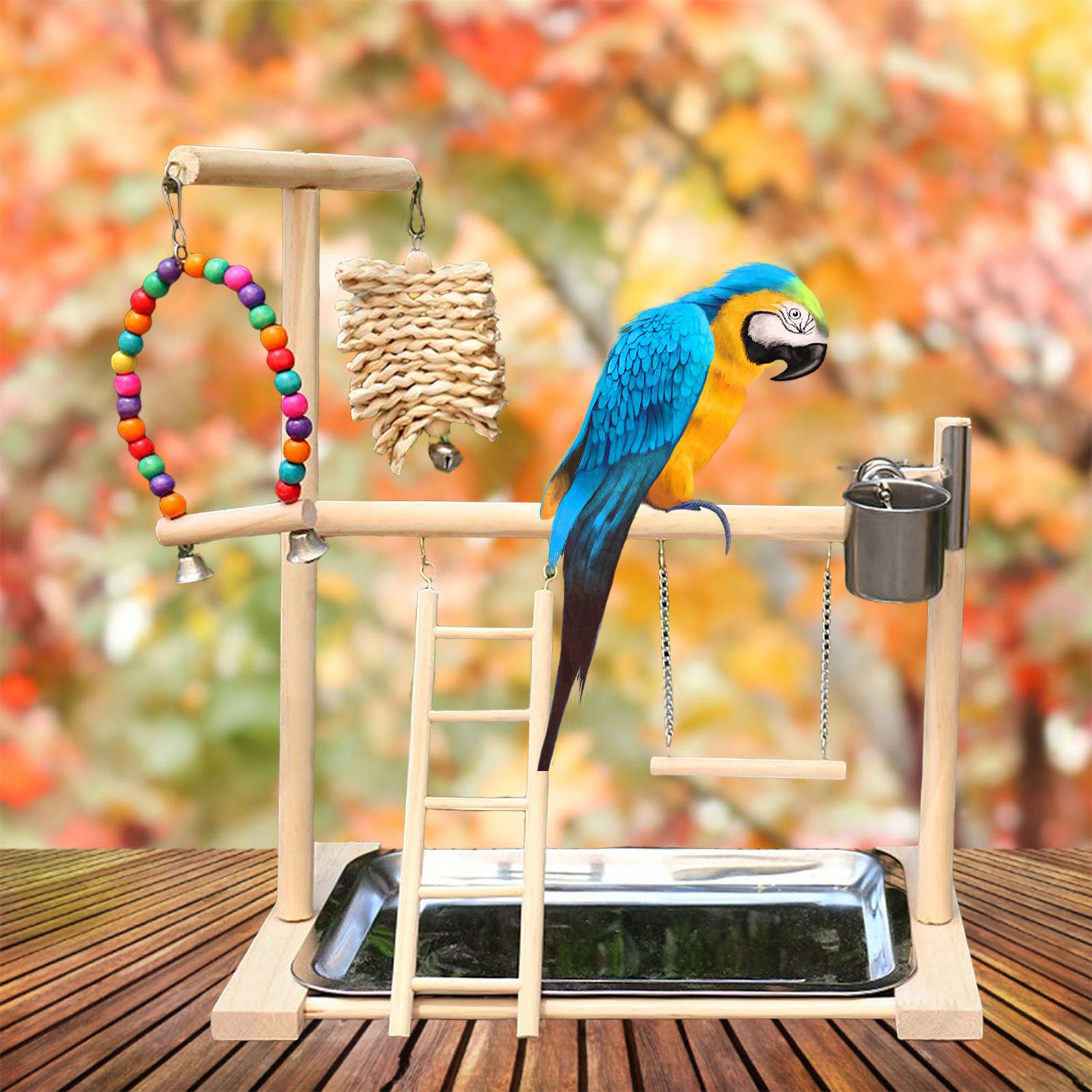 Parrot Playstand Bird Playground Bird Playpen Wood Perch Chewing Budgie