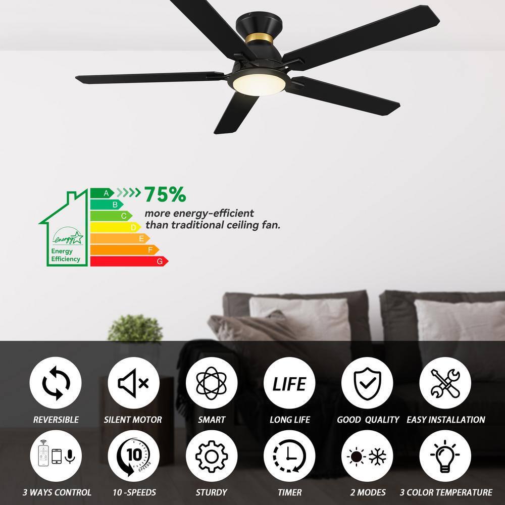 CARRO Essex 52 in Dimmable LED IndoorOutdoor Black Smart Ceiling Fan with Light and Remote Works with AlexaGoogle Home