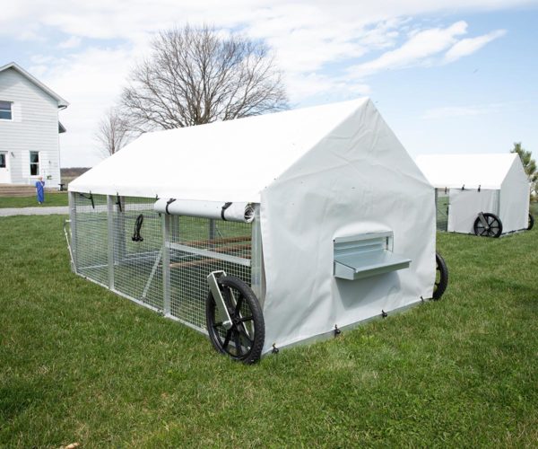 🎉Only $39🎉 Stainless Steel Feeding Cage🐔🦆