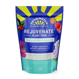 Pennington 4 lbs. Rejuvenate Evergreen and Azalea Plant Food 4-3-3 100546848