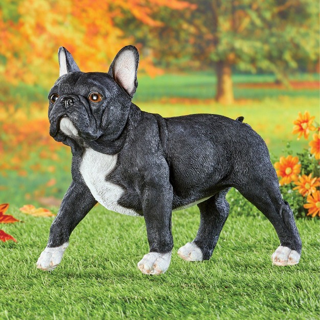 Collections Etc Black And White French Bulldog Outdoor Statue Black