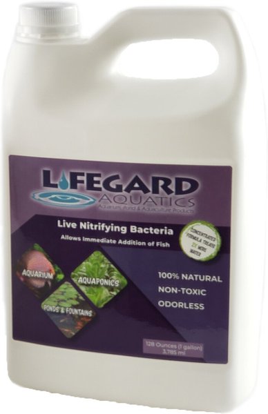 Lifegard Aquatics Live Nitrifying Fish Pond Bacteria