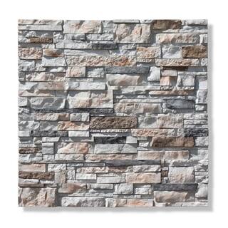 Silvermine Stone 6 in. x 24 in. Stone Veneer Ledgestone Flat Panel Dover Cliff (Box of 8) DC-BL-XX-FL