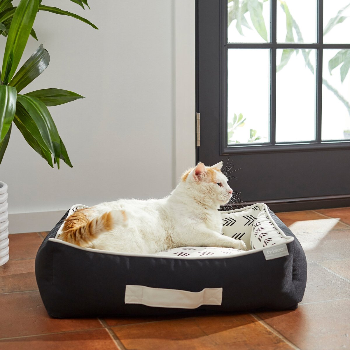 Frisco Indoor/Outdoor Modern Cuddler Bolster Cat and Dog Bed