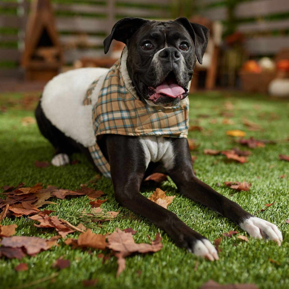 Frisco Lightweight Plaid Pocket Dog and Cat Coat