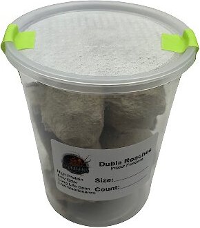 ABDragons Medium Dubia Roaches Small Pet and Reptile Food