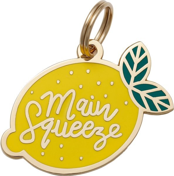 Two Tails Pet Company Main Squeeze Personalized Dog and Cat ID Tag