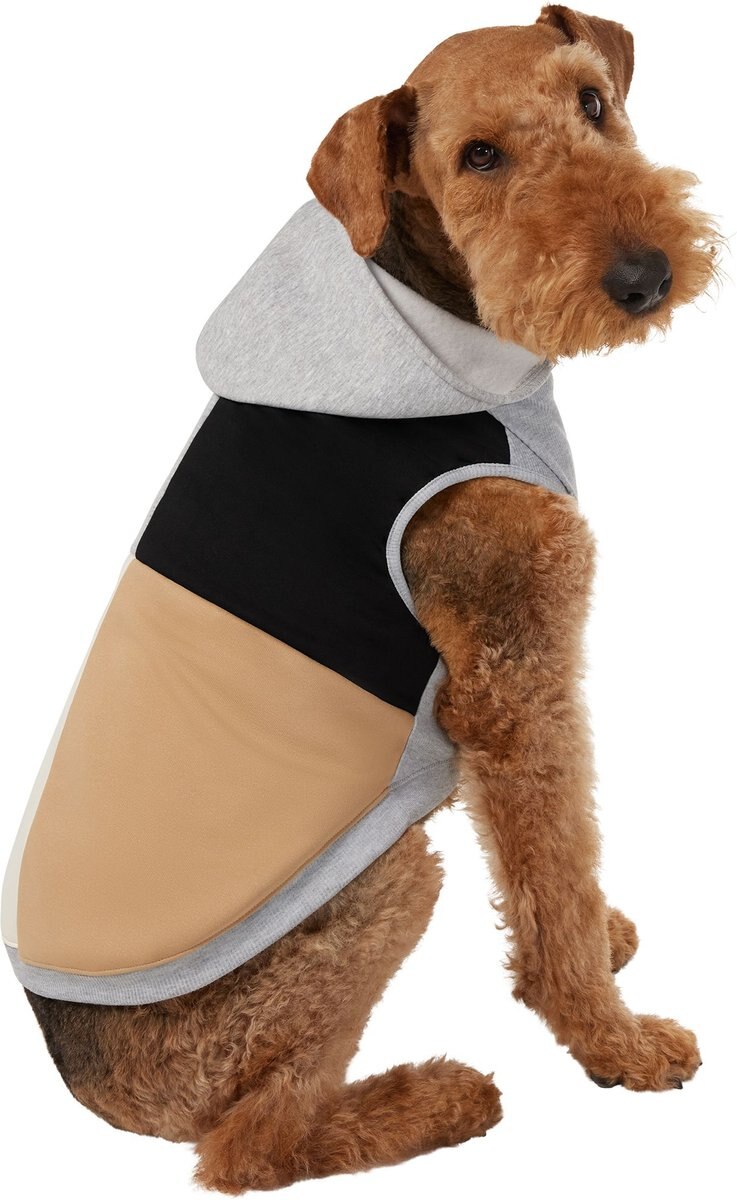 Frisco Colorblock Dog and Cat Hoodie