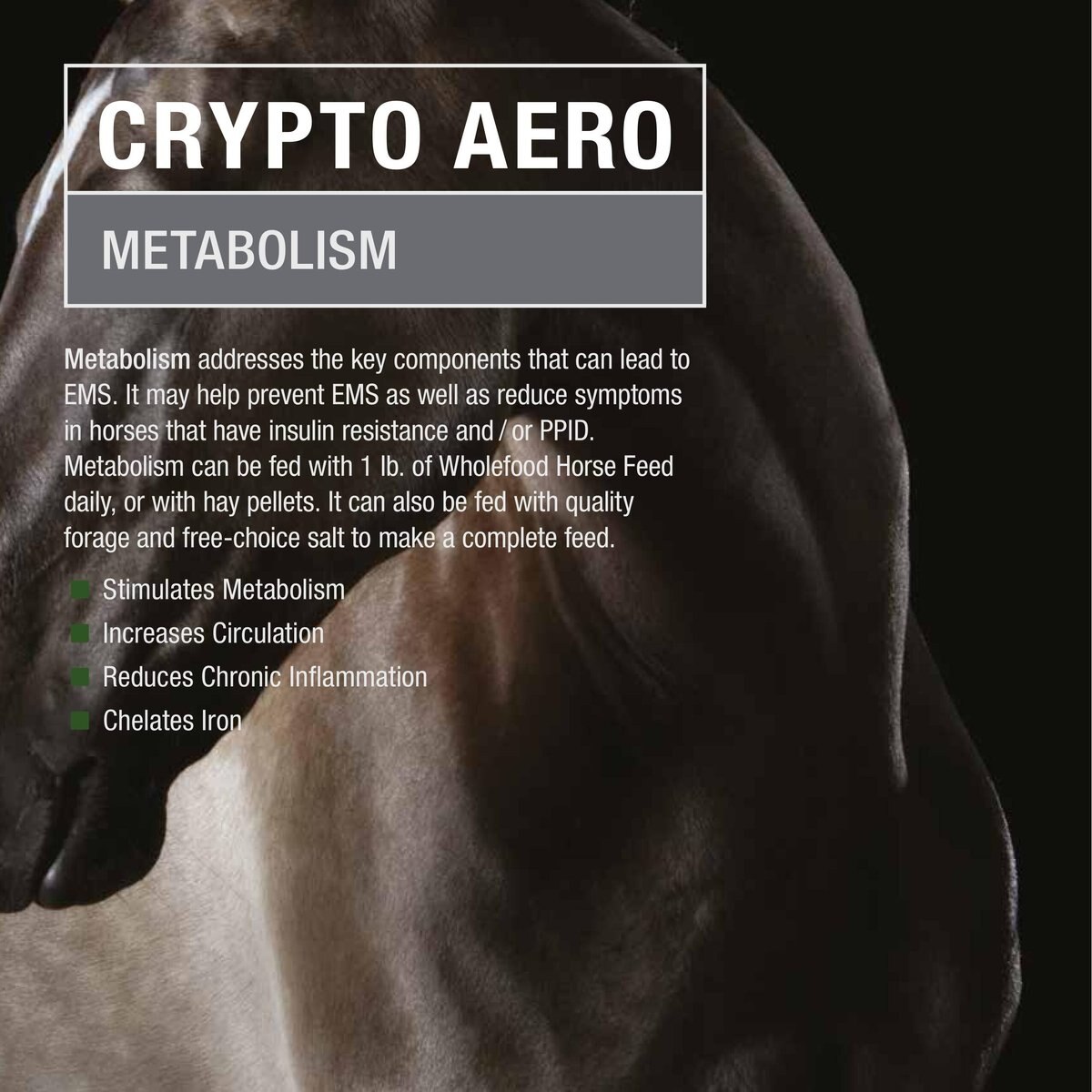 Crypto Aero Metabolism Powder Horse Supplement