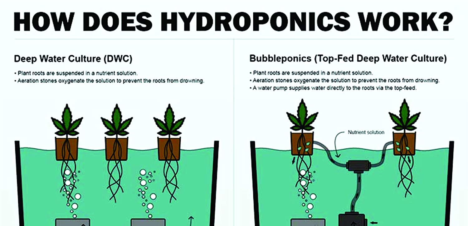 The Atwater HydroPod - A/C Powered DWC Deep Water Culture Hydroponic Garden System Kit - Bubble Bucket - Bubbleponics - Grow Your Own! Start Today! Without Nutrients