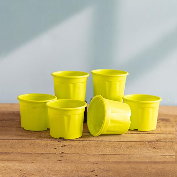 4 inch (10 cm) Grower Round Plastic Pot