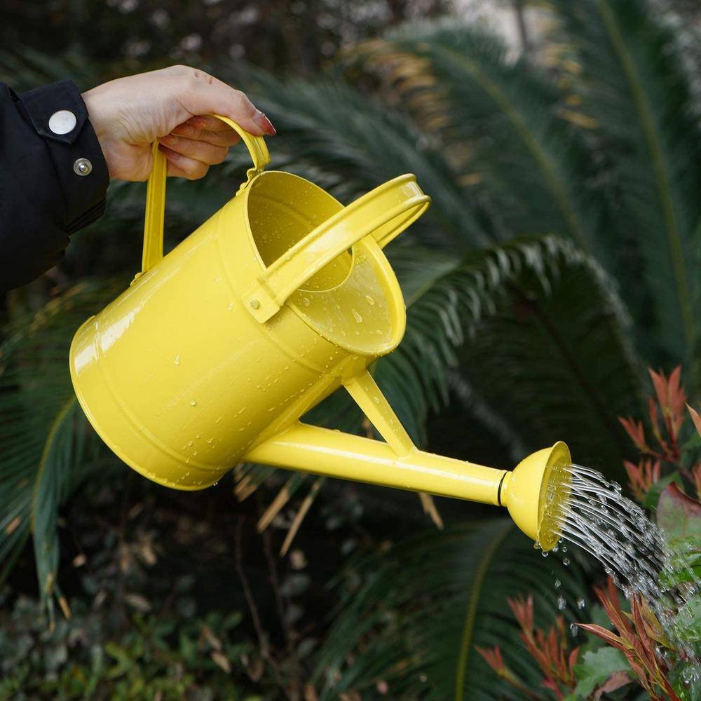 Cubilan 55 oz. Yellow Metal Watering Can with Handle and Rose Tip Contemporary B07M7MJBNY