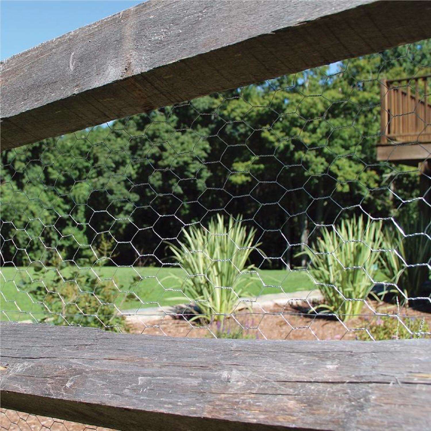 Garden Craft 48 in. H X 25 ft. L Galvanized Steel Poultry Netting 1 in.