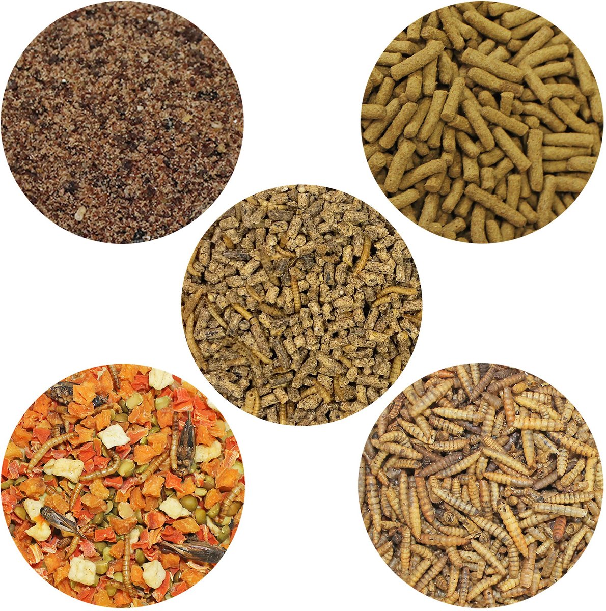 Exotic Nutrition Hedgehog Food Starter Kit