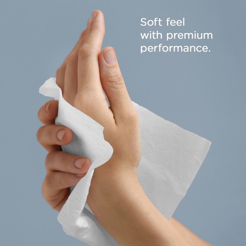 Scott Hard Roll Towels  KCC01080