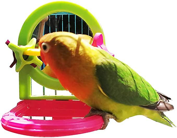 Bird Mirror Toy， Paddle Wheel And Bass Are Long Tailed Arlott Tiger Skin Parrots (color Random)