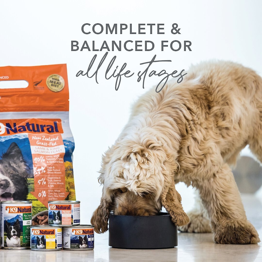 K9 Natural Lamb and King Salmon Grain-Free Canned Dog Food