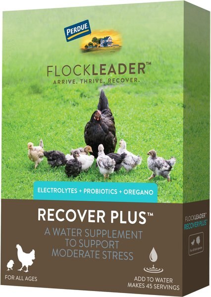 FlockLeader Recover Plus Poultry Supplement， 8-oz bag