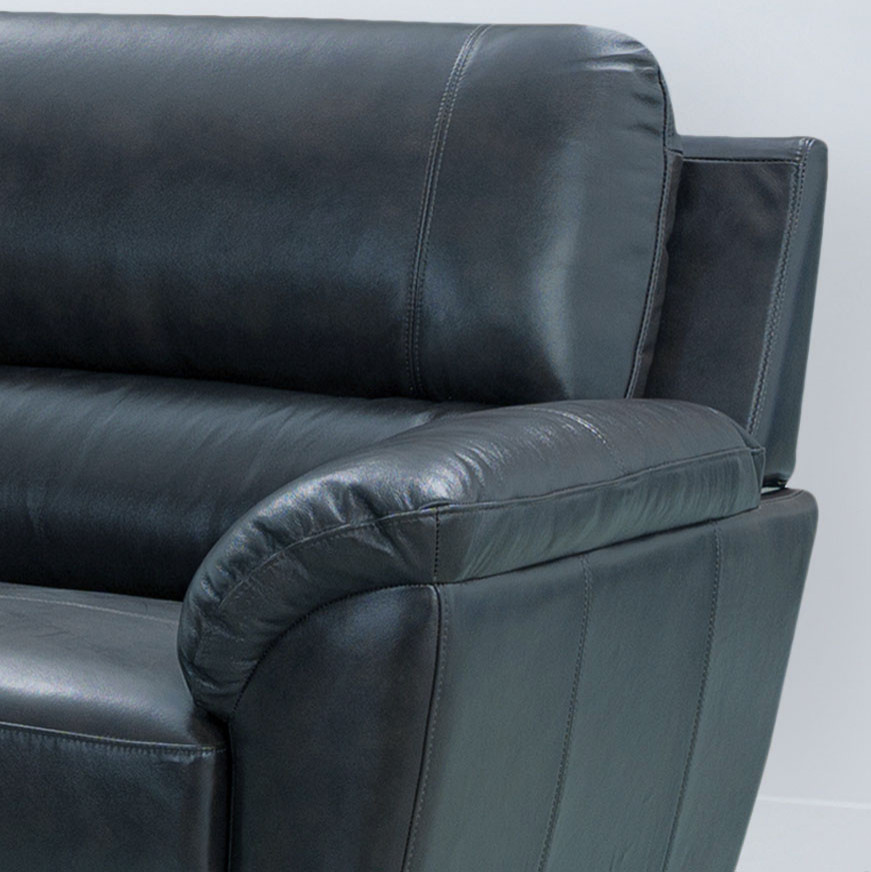 Carnegie Top Grain Leather Loveseat   Midcentury   Loveseats   by Abbyson Living  Houzz