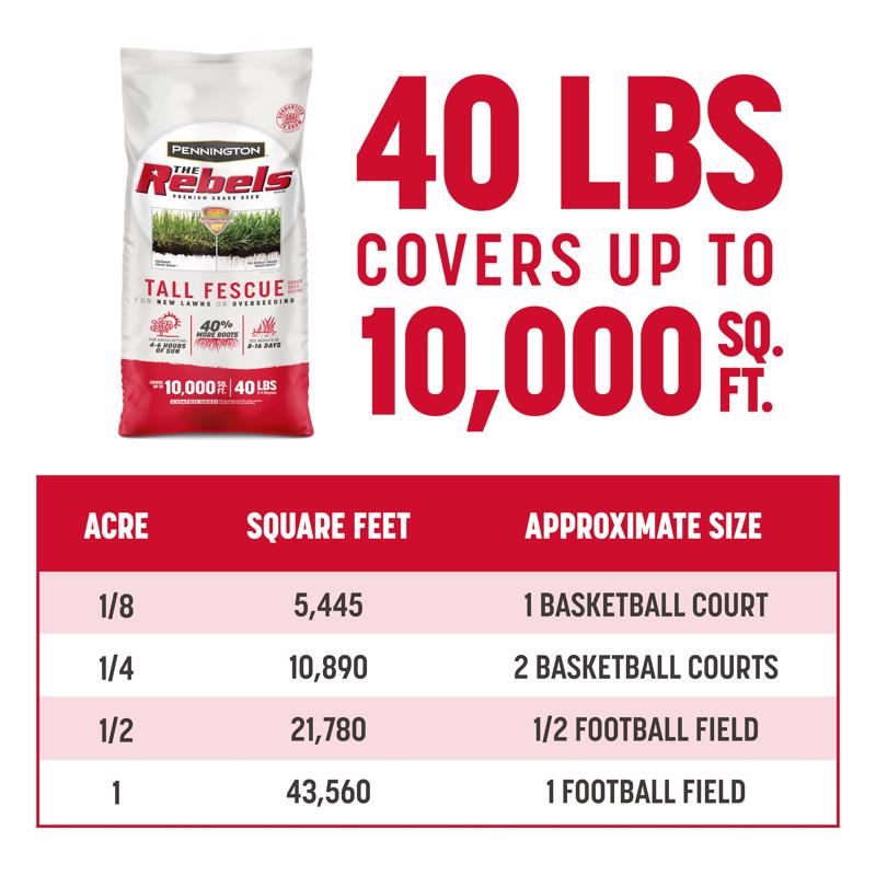 REBEL TALL FESCUE 40 LB