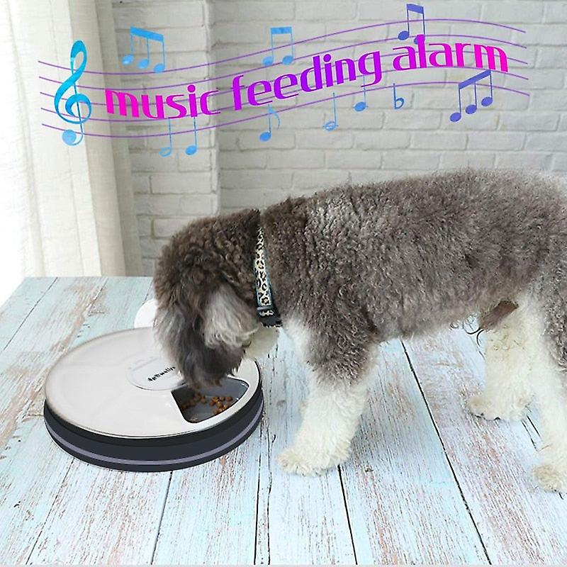 High quality 6 meals dog automatic feeder