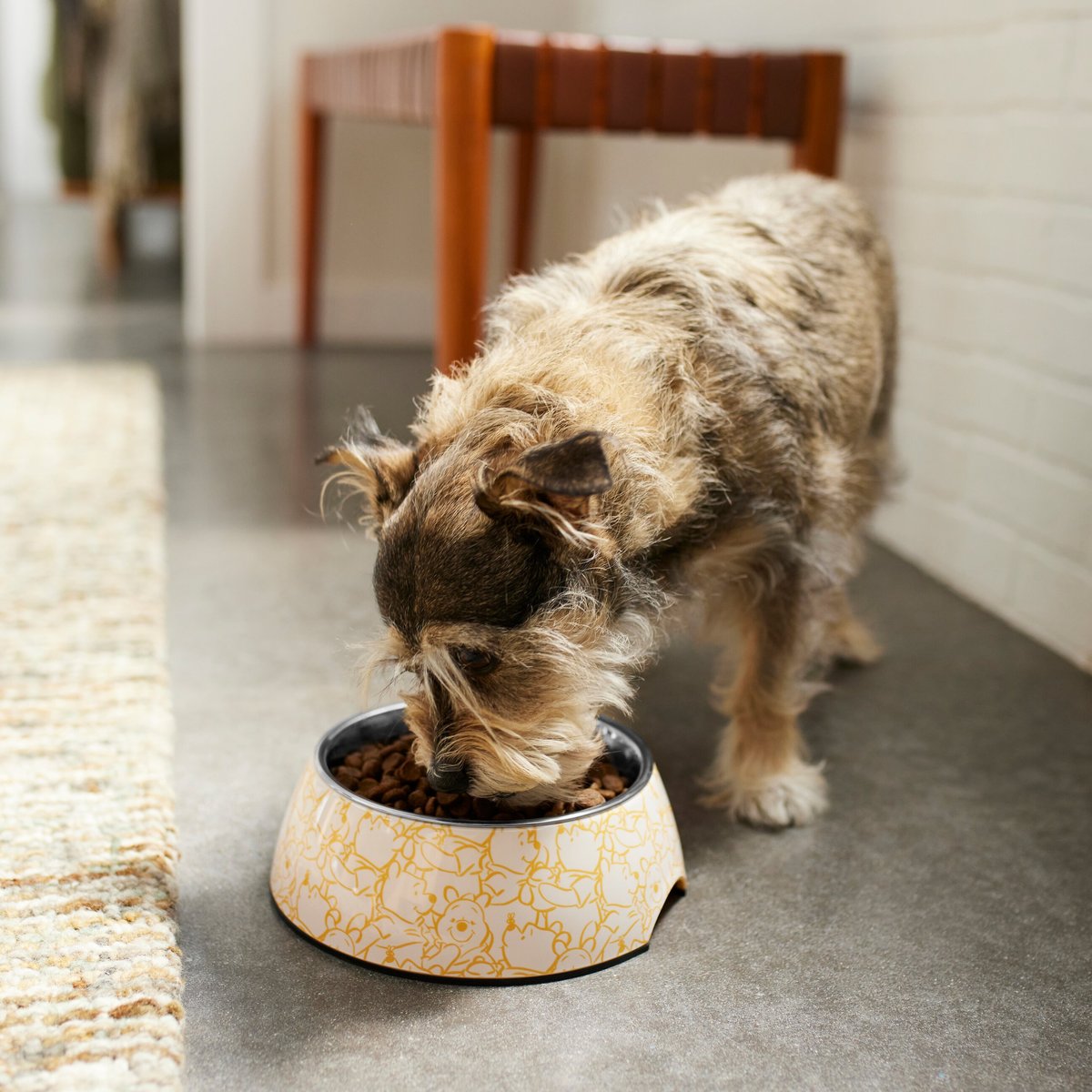 Disney Winnie the Pooh Non-Skid Stainless Steel with Melamine Stand Dog and Cat Bowl， Yellow