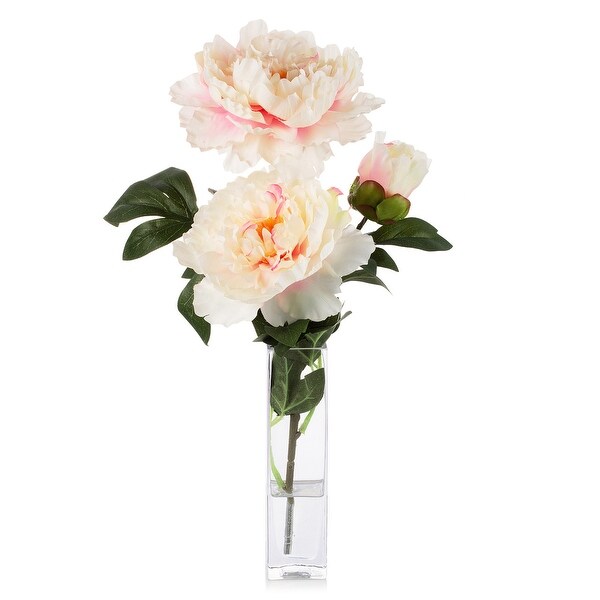 Enova Home Artificial Silk Peony Flower in Clear Glass Vase Large Peony Flower with Vase For Home Office Decoration