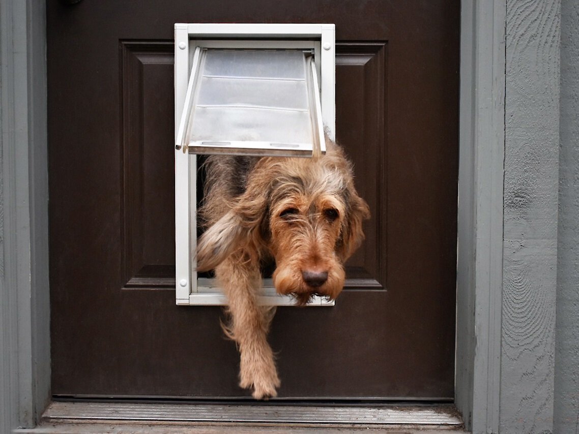 Endura Flap Single Flap Door Mount Dog and Cat Door