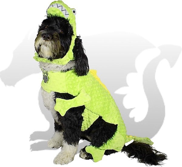 Royal Animals Dragon Dog Costume