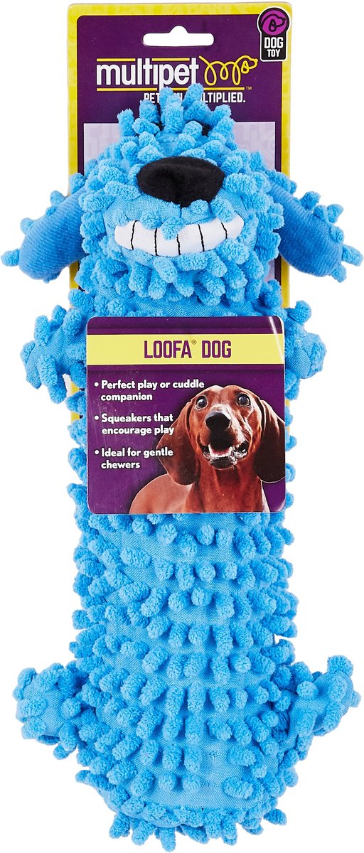 Multipet Loofa Floppy Water Bottle Buddies Squeaky Plush Dog Toy， Color Varies