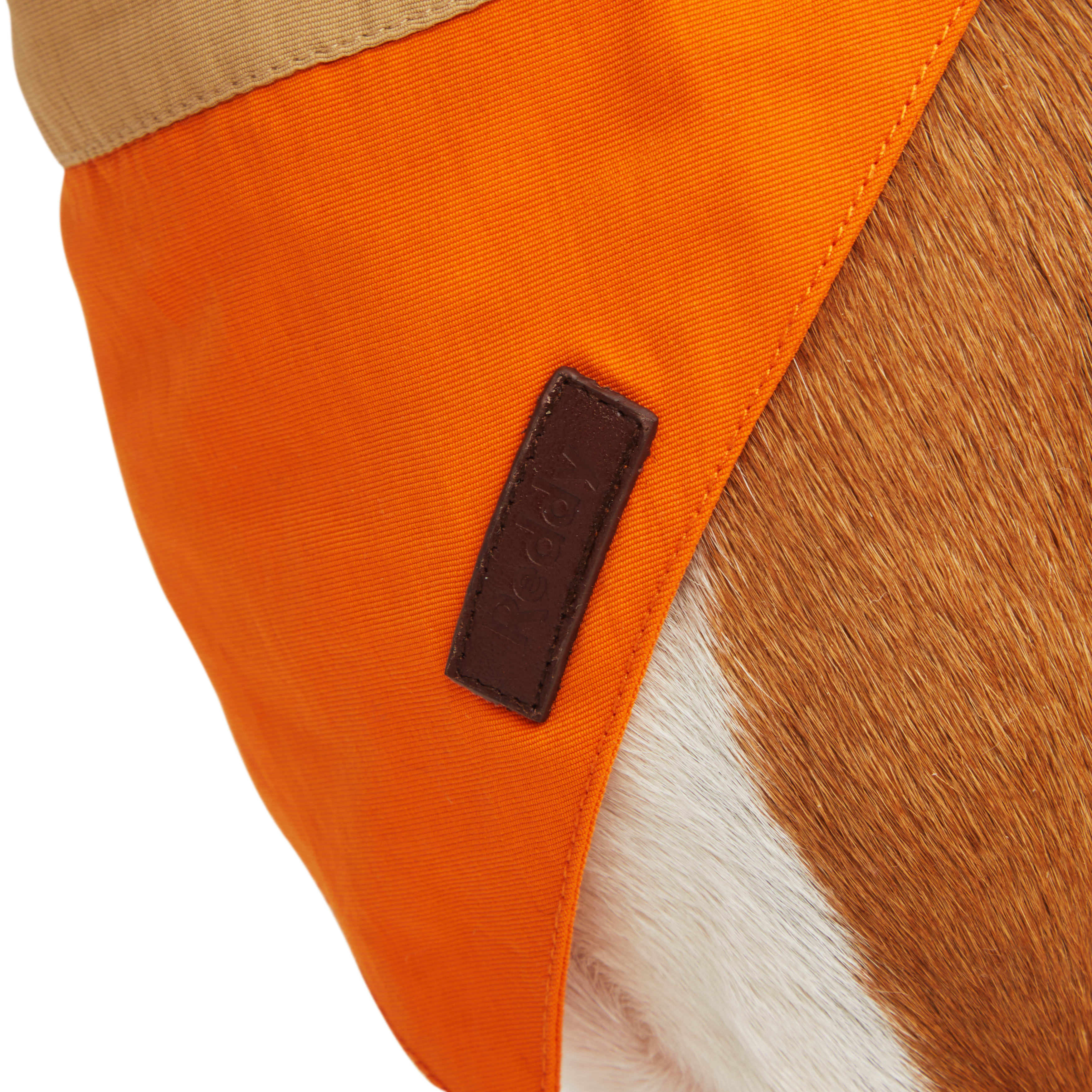 Reddy Tan and Orange Colorblock Dog Bandana， X-Small/Small