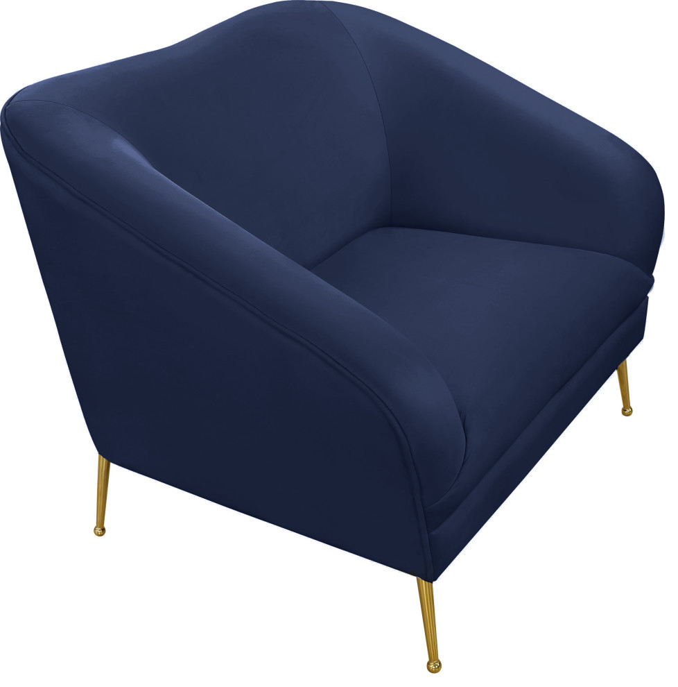 Hermosa Velvet Chair   Midcentury   Armchairs And Accent Chairs   by Meridian Furniture  Houzz