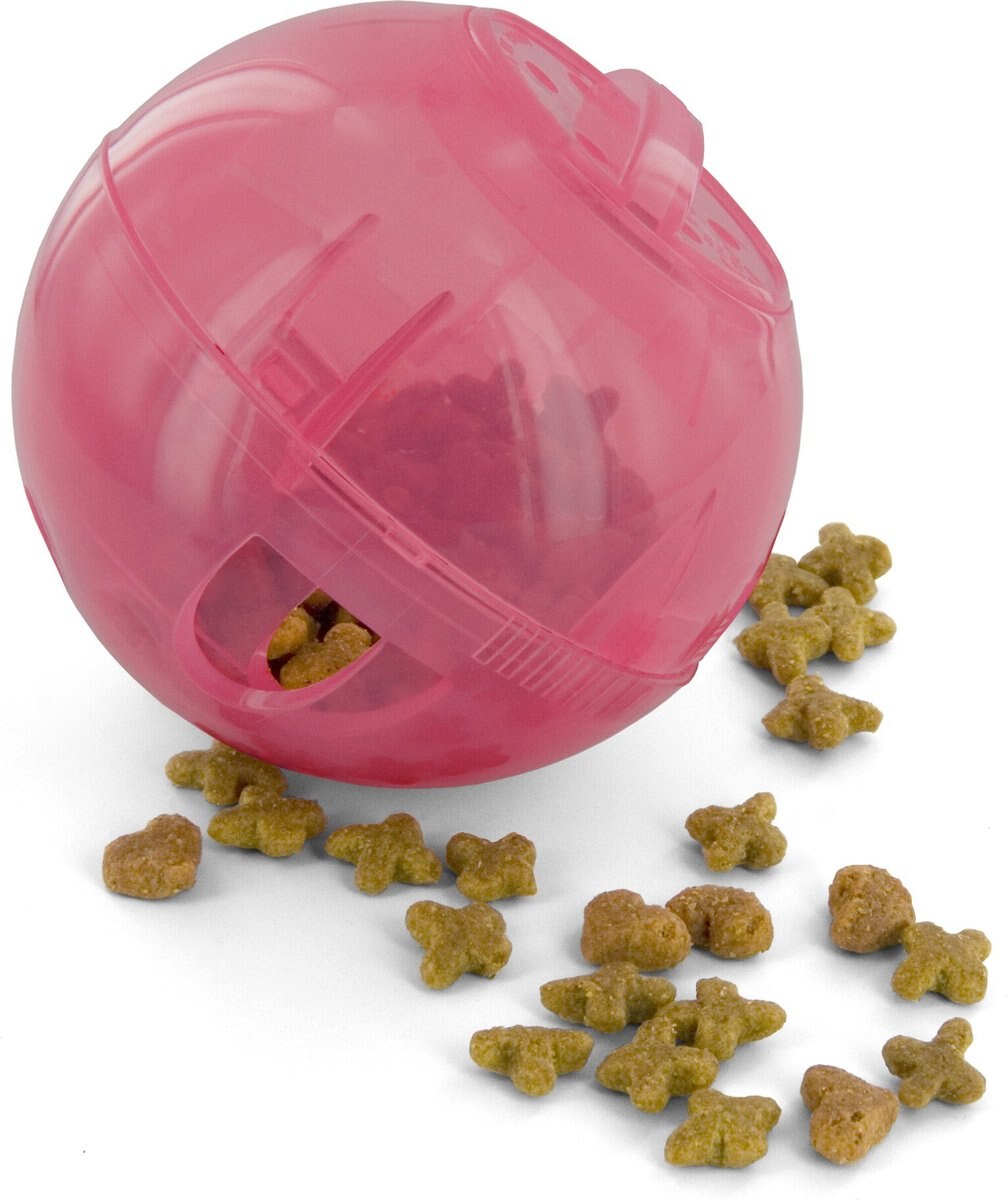 PetSafe SlimCat Interactive Cat Feeder