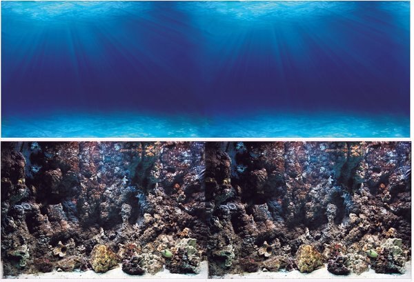 Vepotek Double-Sided Fish Aquarium Background， Deep Seabed and Coral Rock