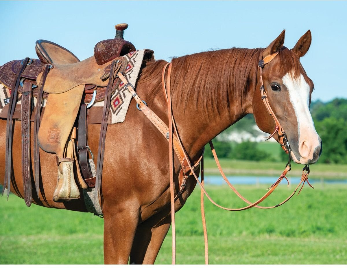 Weaver Leather Single-Ply Heavy Harness Split Horse Reins