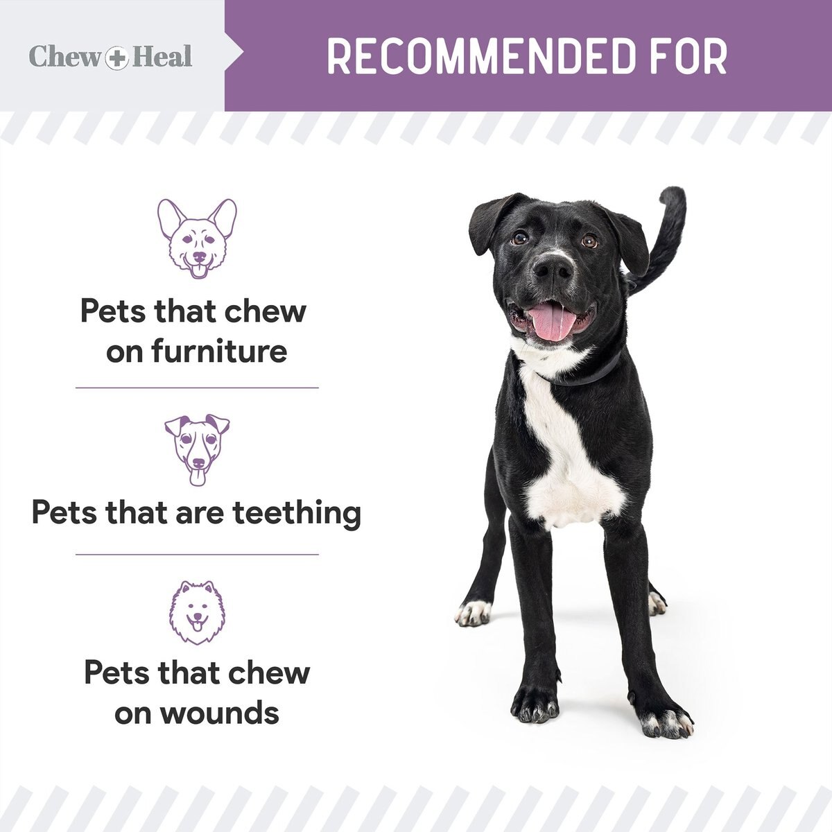 Chew + Heal No Chew Dog and Cat Spray， 8-oz bottle