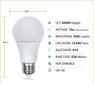 100-Watt Equivalent A19 CEC Rated LED Light Bulb Daylight (8-Pack) FG-04276