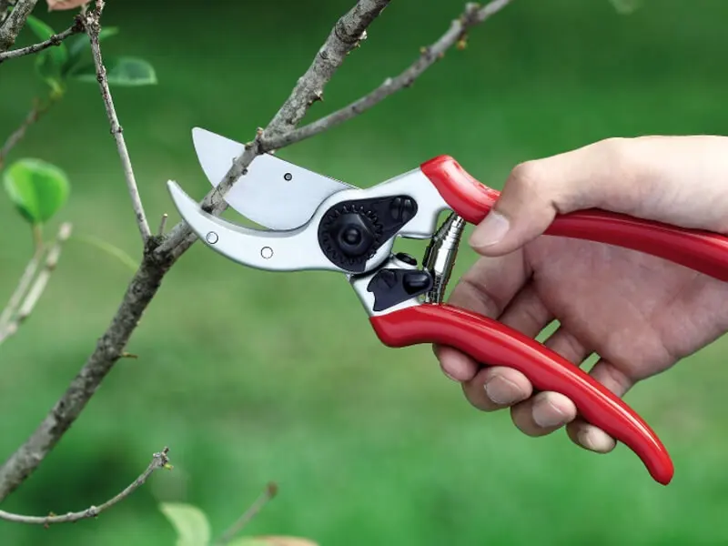 Professional Garden Tool Bypass Pruner