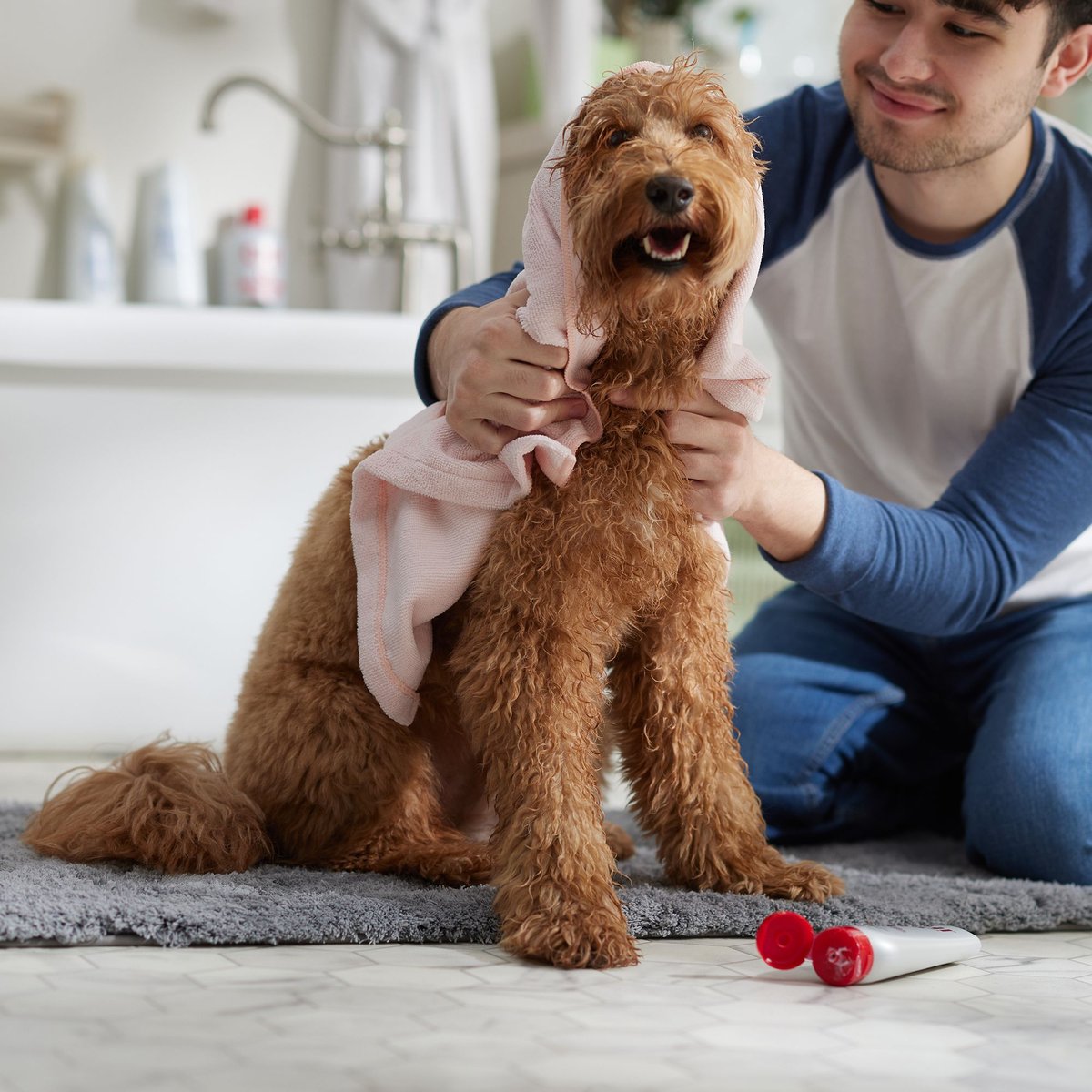 CHI Oatmeal Dog Conditioner