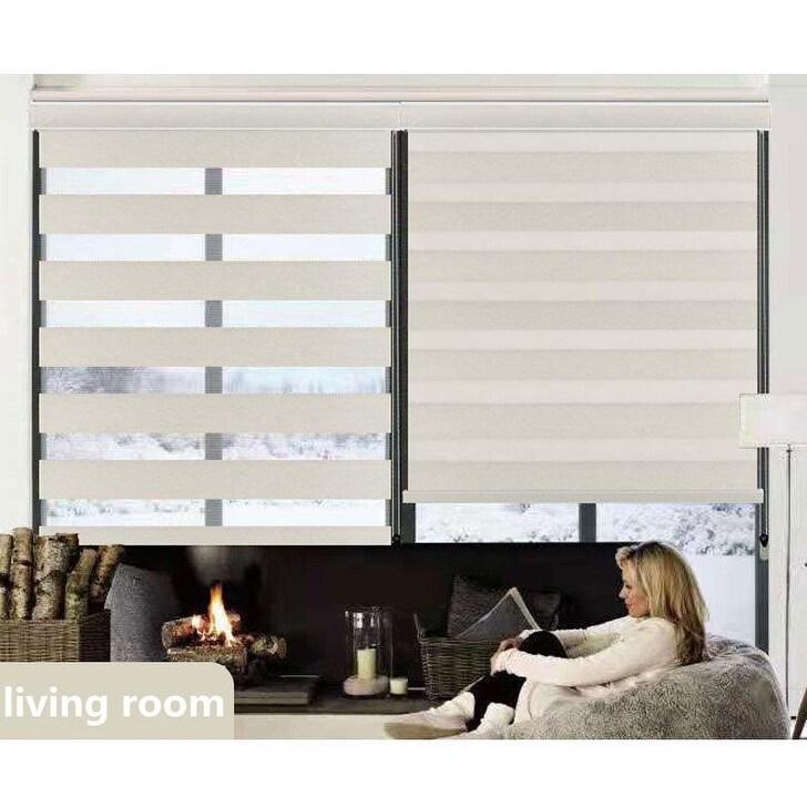 Avobird Dual Layer Roller Blinds Light Filtering Zebra Window Shades for Home Kitchen