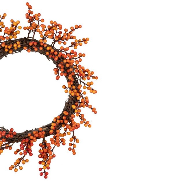 Northlight Red And Orange Artificial Berry Artificial Thanksgiving Wreath 18 inch Unlit